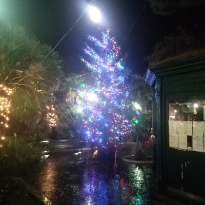 Img 20211208 180224